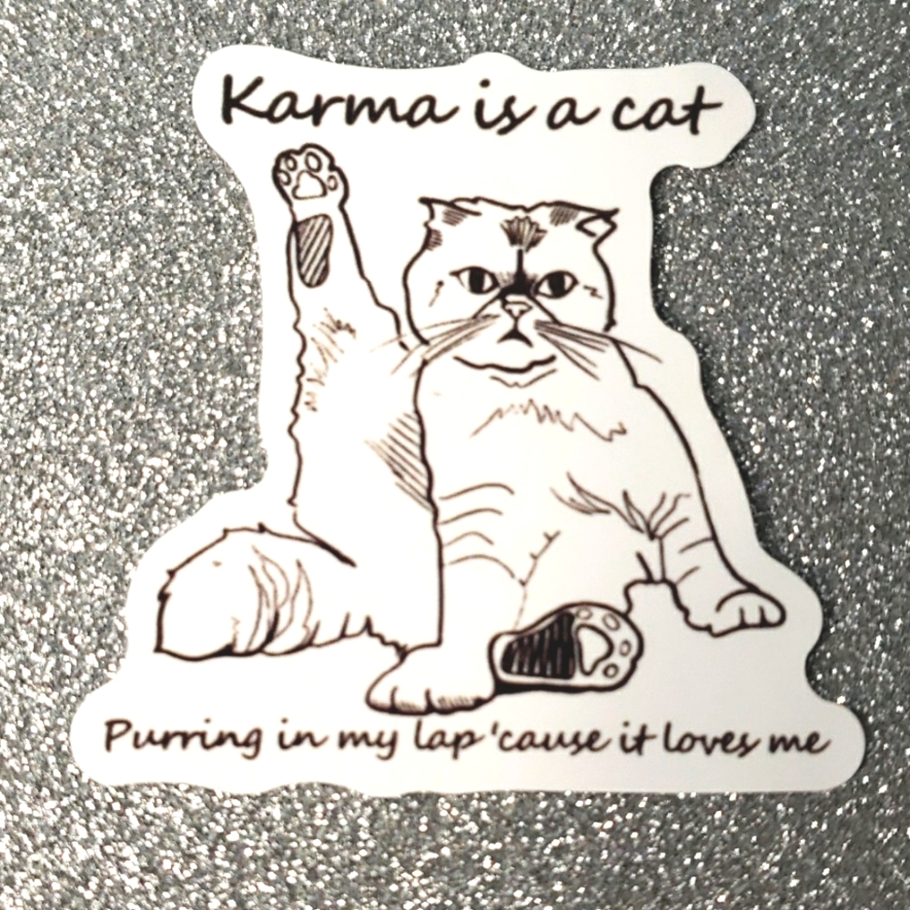 10/$10 Taylor Swift Waterproof Sticker midnights karma